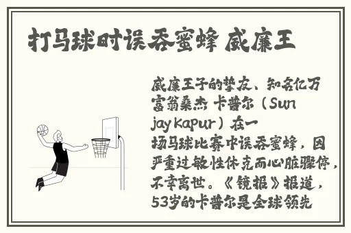 亚洲日韩视频高清在线观看